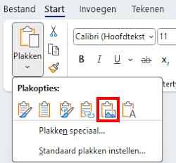 Als afbeelding plakken in Word 